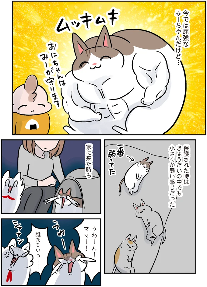 『マジレス幼児とモンペ猫　口達者な娘と過保護すぎる猫たちとの日常』より