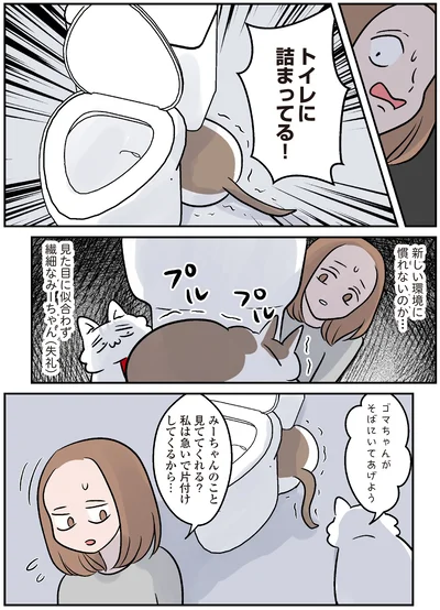 『マジレス幼児とモンペ猫　口達者な娘と過保護すぎる猫たちとの日常』より