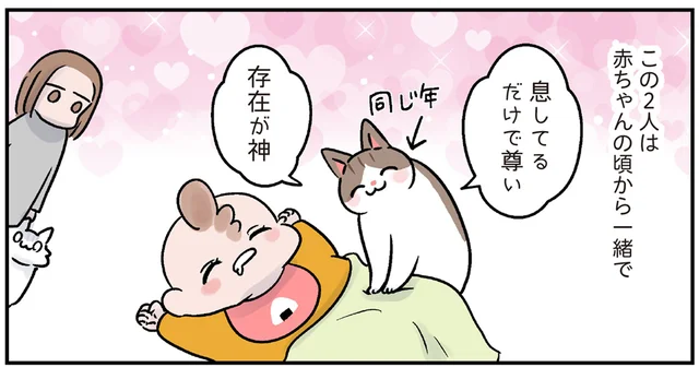 赤ちゃんの頃から一緒！すくすく育った過保護すぎる猫と幼児／マジレス幼児とモンペ猫（1）