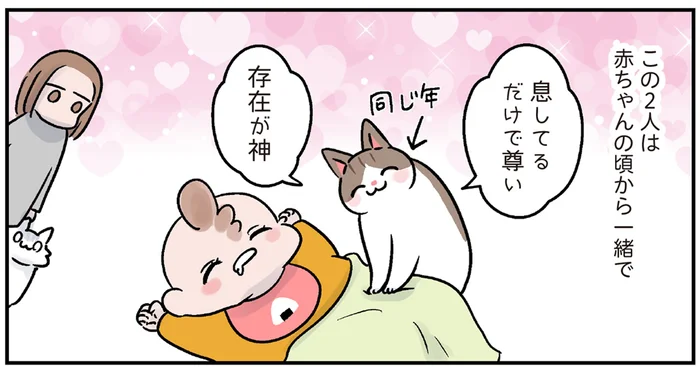 赤ちゃんの頃から一緒！すくすく育った過保護すぎる猫と幼児／マジレス幼児とモンペ猫（1）