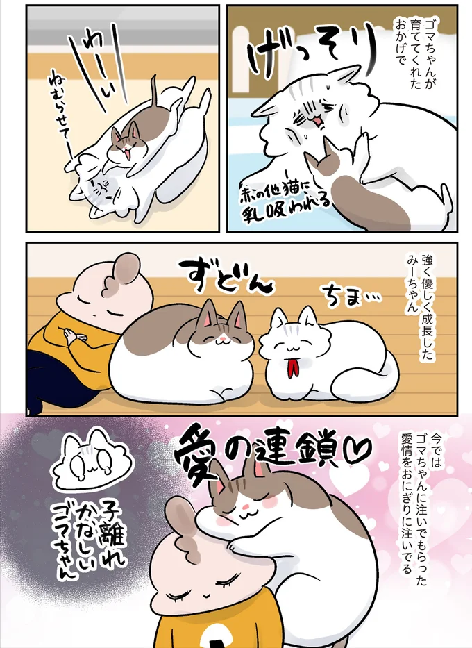 強く優しく成長したみーちゃん