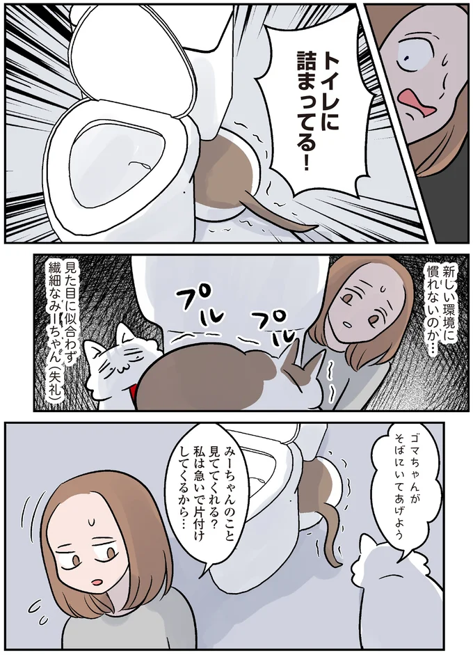 見た目に似合わず繊細