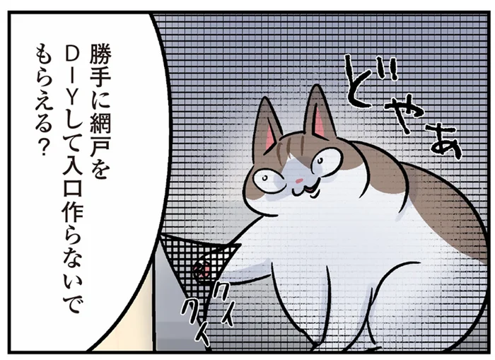 勝手に網戸をDIY？ベランダ大好き猫がいつの間にか部屋の外に