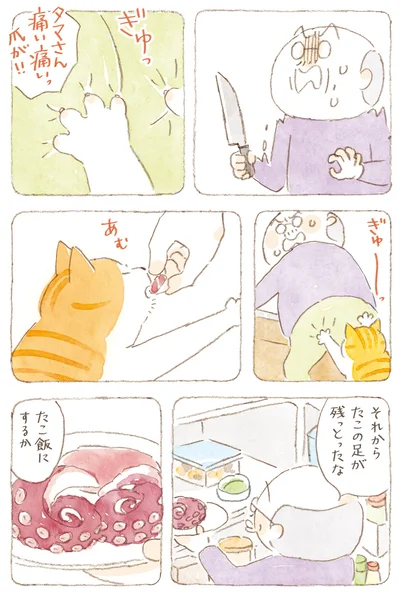 『ねことじいちゃん9』より