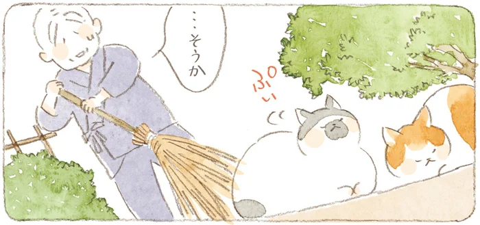 住職さんも思わずあきらめ顔。境内でのんびり過ごす島猫たちの毎日