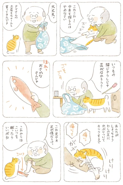 おさかなさんじゃ