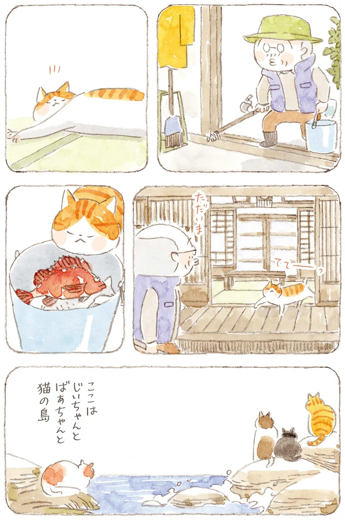 ここはじいちゃんとばあちゃんと猫の島