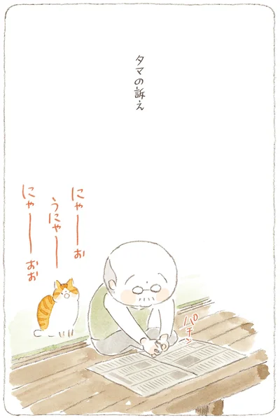 『ねことじいちゃん10』より