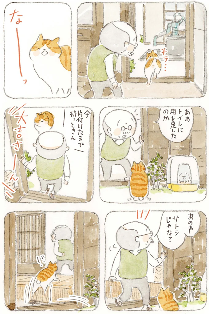 『ねことじいちゃん10』より