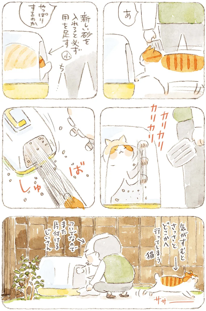 『ねことじいちゃん10』より