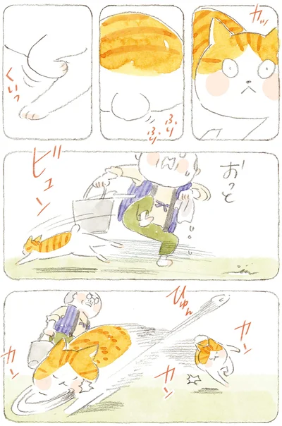 『ねことじいちゃん10』より