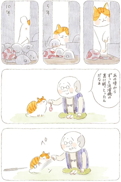 『ねことじいちゃん10』より