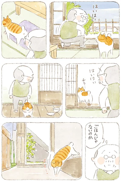 ごはんじゃないのか