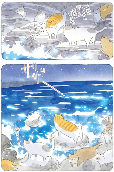 今夜は夜釣りはムリやな