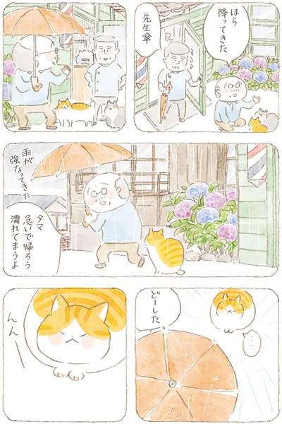 濡れてまうよ