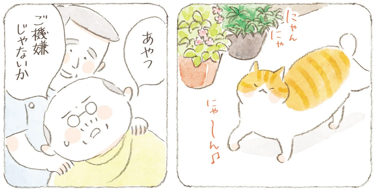 おうちの外でもご機嫌だった？自由に過ごす島猫たちの毎日 - レタスクラブ
