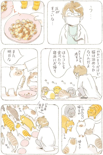 しかたない帰るか