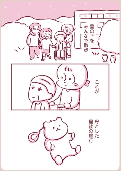 母とした最後の旅行