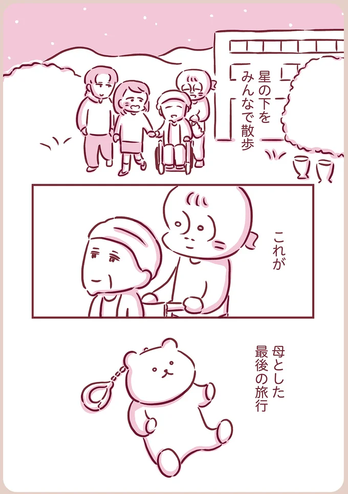 母とした最後の旅行