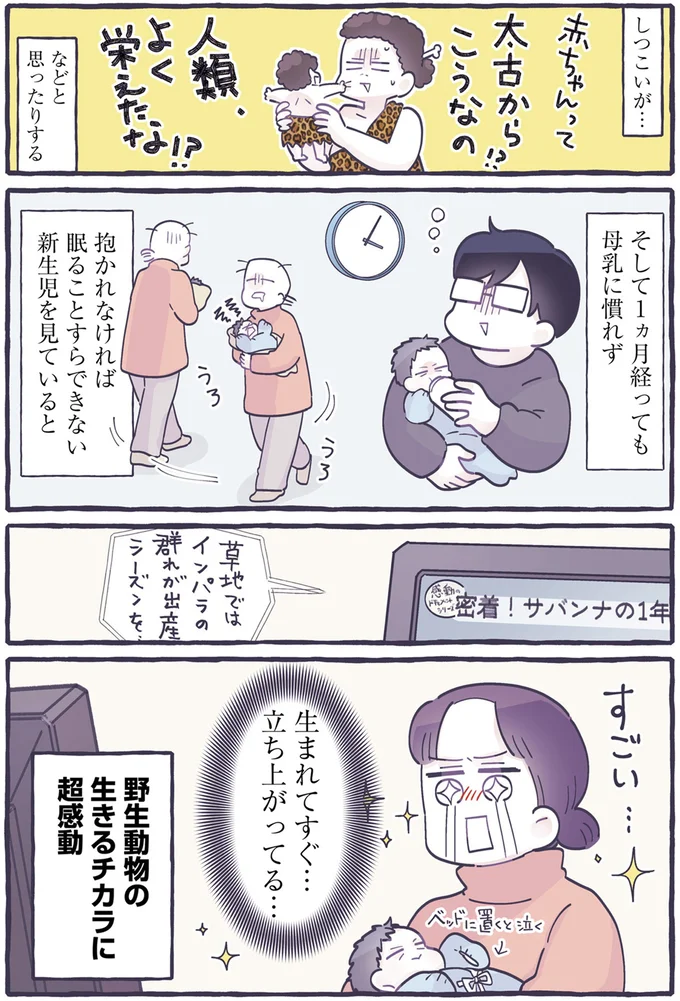 生まれてすぐ…立ち上がってる…