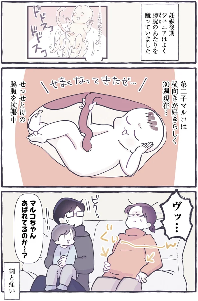 『やさしい世界で生きてたい るしこの子育て日記+ねこ』より