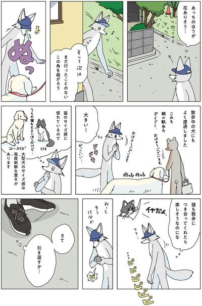 『眠れぬ夜はケーキを焼いて4』より