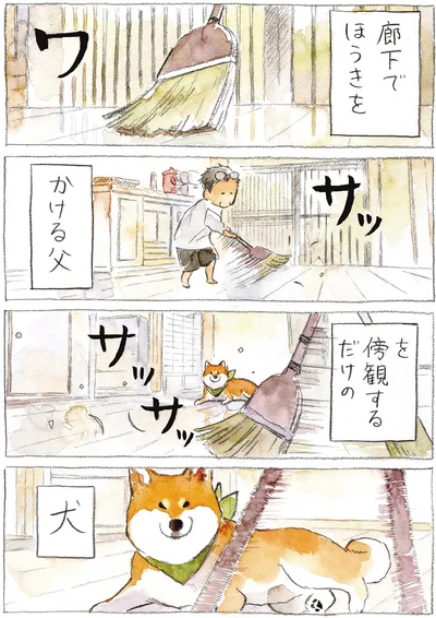 『柴犬ぽんちゃん、今日もわが道を行く2』より