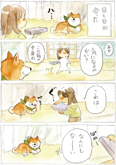 『柴犬ぽんちゃん、今日もわが道を行く2』より