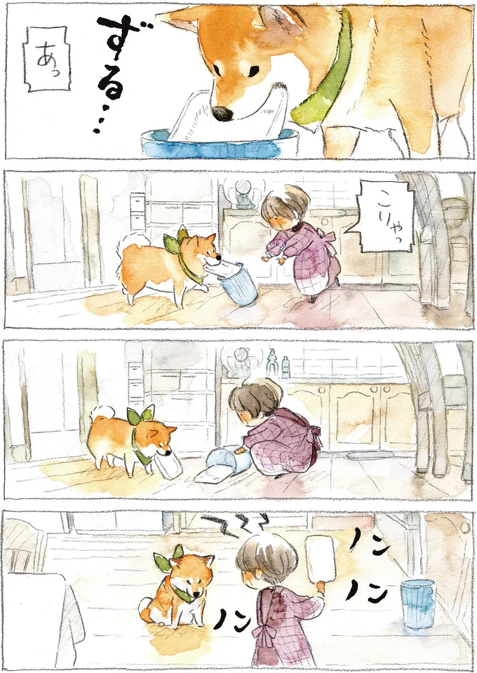 『柴犬ぽんちゃん、今日もわが道を行く2』より