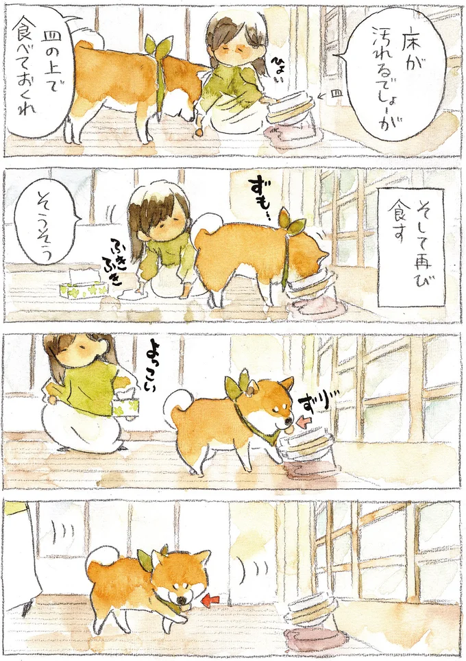 皿の上で食べておくれ