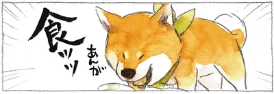 でかい固形を食べると