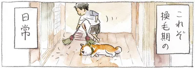 これぞ換毛期の日常