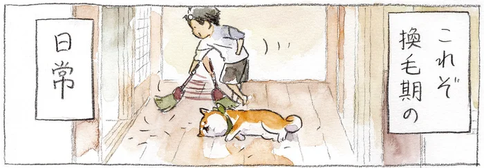 換毛期の風物詩？掃き掃除をする父と、マイペース柴犬のゆるバトル