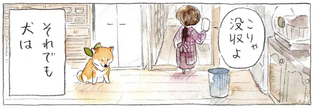 トレー没収でしょんぼりかと思いきや。あきらめない柴犬の切ない表情がたまらない！