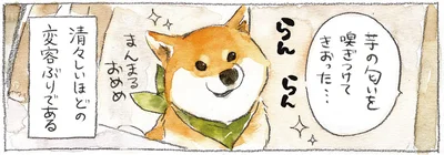 芋の匂いを嗅ぎつけてきおった…