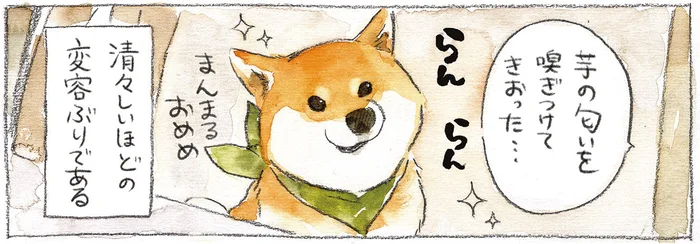 名前を呼んでも来ないのに…！おやつの気配には秒速で反応する柴犬