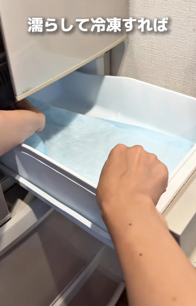 水で濡らしたペットシーツを冷凍庫に入れる▶急な発熱やケガのときに…（⇒次へ）