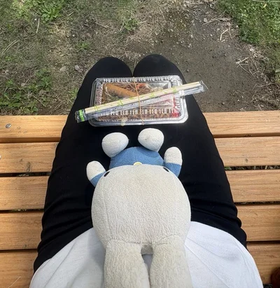 1人1匹ピクニック▶ぬいぐるみは何も言わなくてもそばにいてくれる最大の味方（⇒次へ）