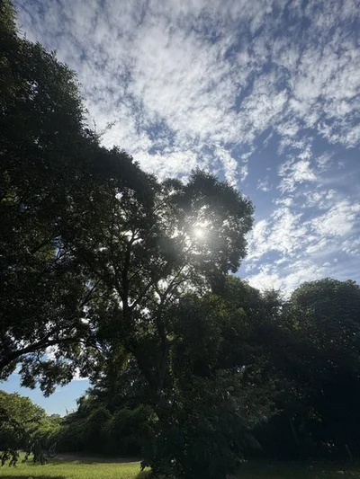 1人1匹素敵なお出かけ▶お部屋もちゃんとあります（⇒次へ）