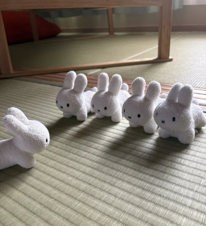 朝礼▶今日は登山です（⇒次へ）