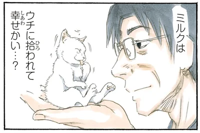 子猫に聞きたいこと