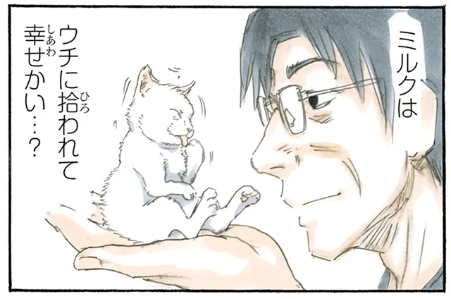 うちに来たのはきっと偶然じゃない。拾った子猫に聞きたいことはたくさんある