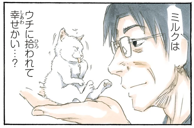 子猫に聞きたいこと