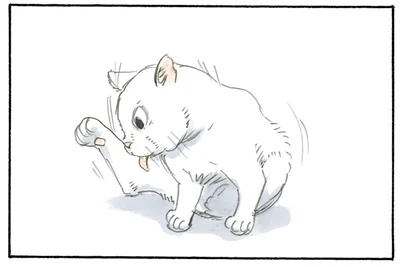 猫の写真を連写しすぎて…