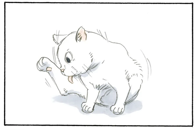 猫飼いあるある？ 猫の写真を連写しすぎてもはや動画になっている