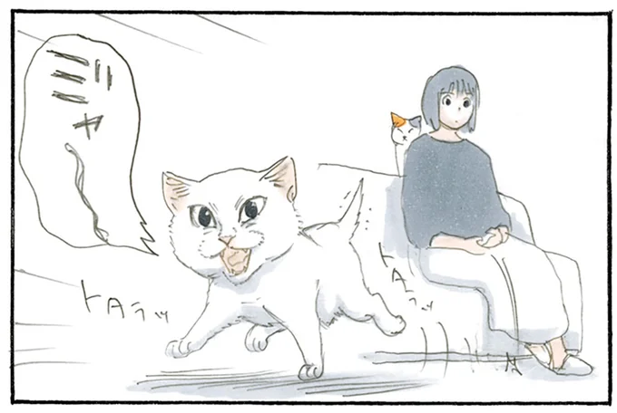 お父さんが帰ってきた！