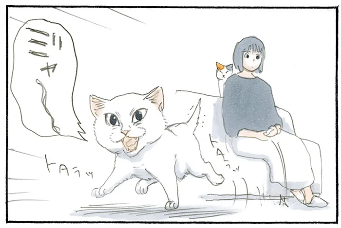 なんで分かるの？ 大好きなお父さんが帰って来るのを物音だけで判断した子猫