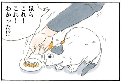 ご飯はこっち！