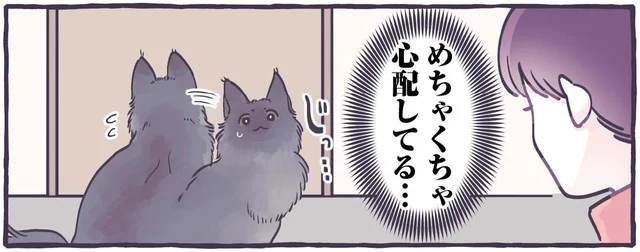 閉じ込められたと思った？トイレ中の息子を心配する飼い猫