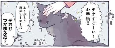 飼い猫がお手柄！家族にほめられて不思議そうなニャンコ